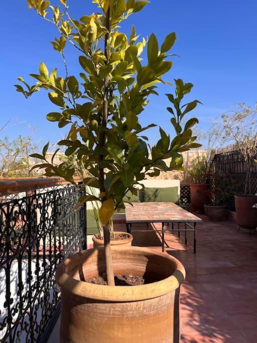 Villa Dar Fannan En Exclusivite Marrakesch